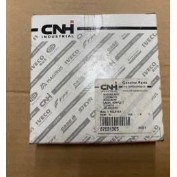 CNH Bearing Assy